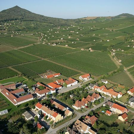 Tiffan'S Pinceszet Es Panzio Hotel Villany Bilik gambar