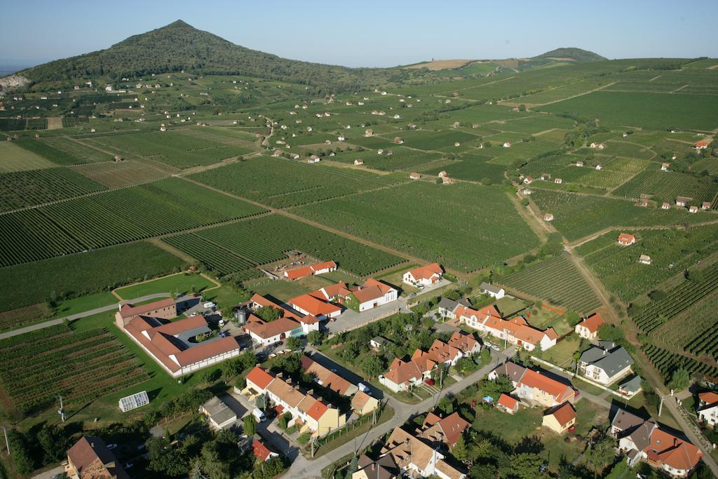 Tiffan'S Pinceszet Es Panzio Hotel Villany Bilik gambar