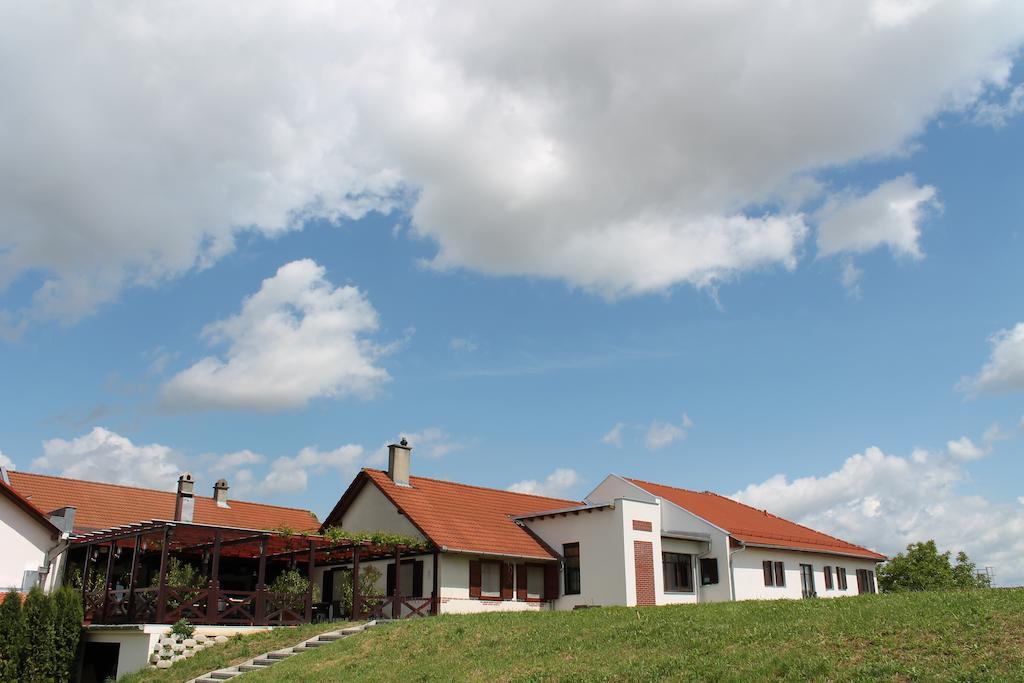 Tiffan'S Pinceszet Es Panzio Hotel Villany Luaran gambar